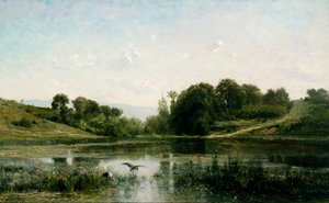 Gli stagni di Gylieu da Charles Francois Daubigny