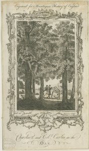 Boscobel - La Quercia Reale: incisione, nd [?19° sec.]
