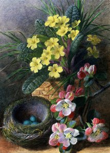 Fiori di melo e primule. Natura morta con nido e fiori. Dipinto di Charles Henry Slater (1820-1890) Collezione privata