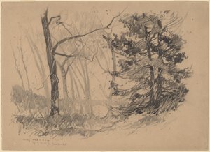 Interno del bosco da Charles H. Woodbury