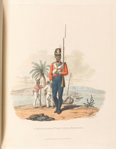 Un soldato del 5° West India Regiment