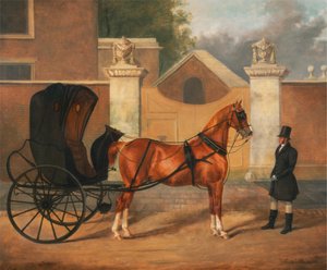 Carrozze dei Gentiluomini: Un Cabriolet