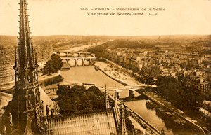 Cartolina/Senna da Notre Dame/Parigi/Senna/Ile de France/Francia