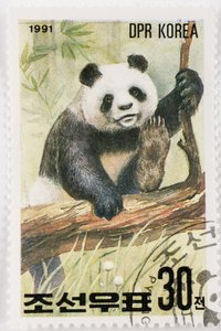 Francobollo, Corea del Nord, Ailuropoda melanoleuca, Grande panda, Panda gigante
