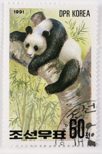 Francobollo, Corea del Nord, Ailuropoda melanoleuca, Grande panda, Panda gigante