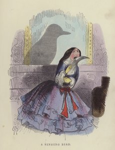 Uccello canoro