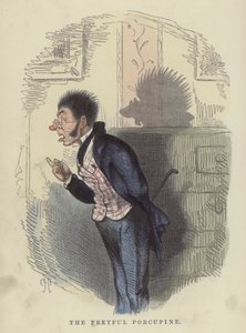 Il porcospino irritabile