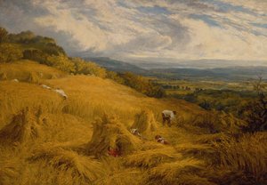 Il raccolto