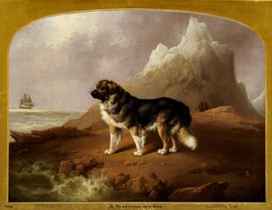 Un cane di Terranova da Charles Henry Schwanfelder