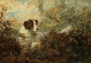 Cane da Charles Henry Schwanfelder