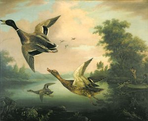 Caccia alle Anatre da Charles Henry Schwanfelder