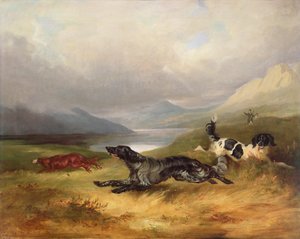 Sulla pista da Charles Henry Schwanfelder