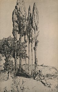 Alberi di cipresso vicino a Siena, 1903