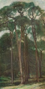 Studio di alberi, c1900 1903-1904 da Charles Holroyd