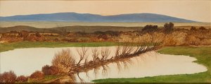Tramonto su uno stagno da Charles Hutton Lear