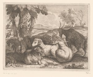 Pecore e capre sotto un albero da Charles II Errard (attributed to)