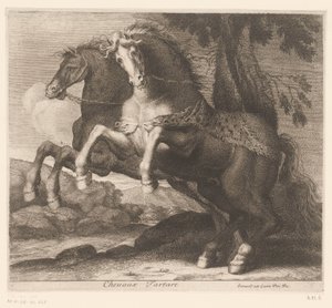 Cavalli impennati da Charles II Errard (attributed to)