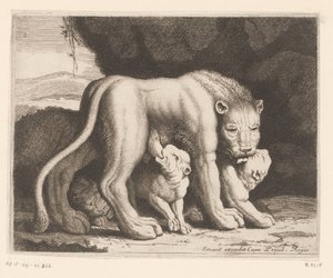Leonessa che allatta da Charles II Errard (attributed to)