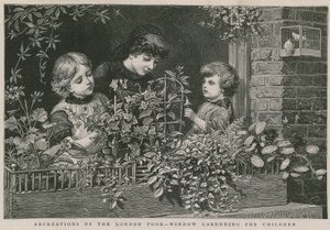 Ricreazioni dei poveri di Londra: Giardinaggio alla finestra per bambini (incisione) da Charles J. Staniland