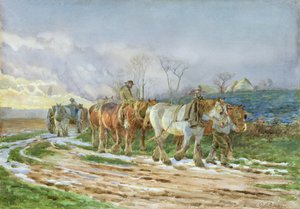 Verso Casa