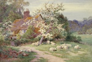 Pecore fuori da un cottage in primavera da Charles James Adams
