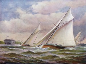 Ali bianche da Charles John de Lacy