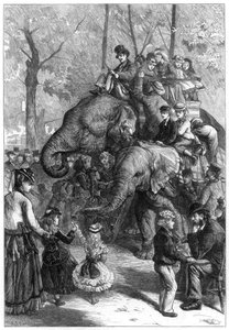 Lunedì pomeriggio ai giardini della società zoologica