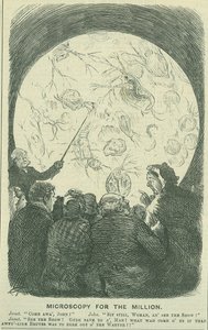 Microscopia per le masse: 1878 (incisione)