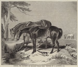 Cavalli, proprietà di William Wigram, Esquire