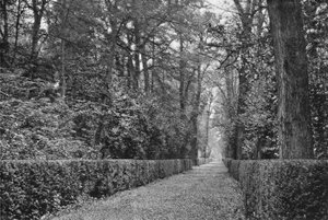 Il Viale dei Cani da Charles Latham