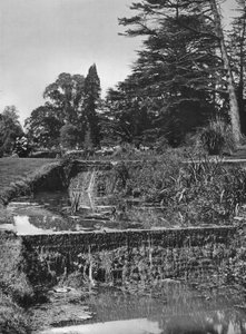 Le Cascate del Giardino da Charles Latham