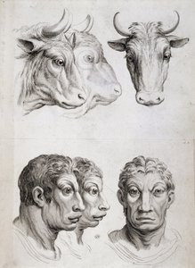 Confronto tra uomini e bestiame da Charles Le Brun