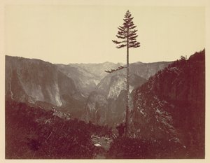 Valle di Yosemite dal Sentiero Mariposa da Charles Leander Weed