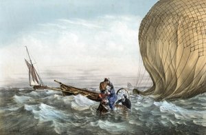 Il Ballo degli Asburgo da Charles Leduc
