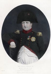 Ultimo ritratto di Napoleone a bordo del Bellerophon