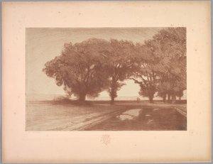Serie di paesaggi: Paesaggio, Tavola 8, Remarque, Viole del pensiero da Charles Marie Dulac