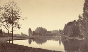 Bois de Boulogne, 1858 (foto) da Charles Marville