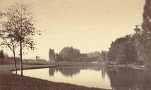 Bois de Boulogne da Charles Marville