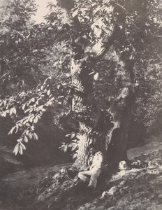 Uomo sdraiato ai piedi di un castagno, 1850-53 da Charles Marville