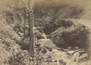 [La valle svizzera a St. Goarshausen] da Charles Marville
