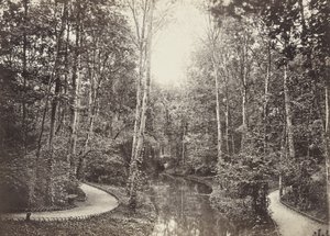 Mare aux biches (Stagno delle cerve), Bois de Boulogne
