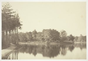 Senza titolo da Charles Marville