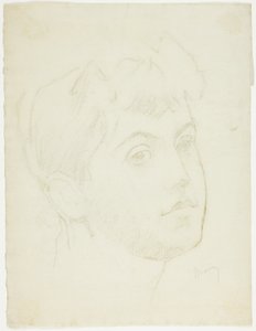 Ritratto di una giovane donna da Charles Maurin