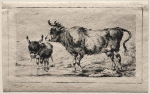 Mucca e asino, 1849