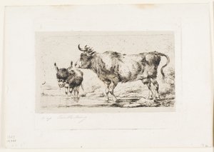 La mucca e l