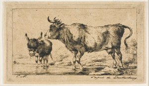 La mucca e l