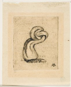 Il crittogama malaticcio da Charles Meryon