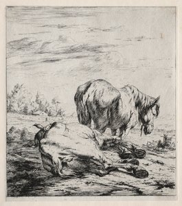 I due cavalli, 1850 da Charles Meryon
