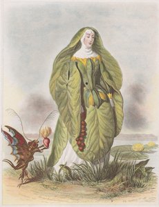 Nenufaro, da Les Fleurs Animées