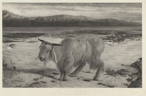 Il capro espiatorio da Charles Mottram after William Holman Hunt